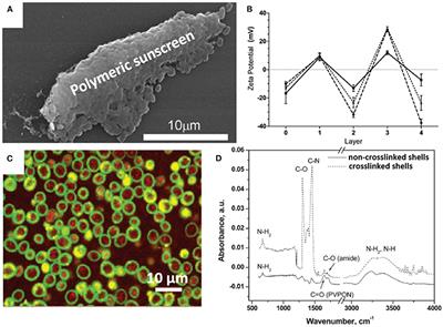 X-Ray Photoelectron Spectroscopy on Microbial Cell Surfaces: A Forgotten Method for the Characterization of Microorganisms Encapsulated With Surface-Engineered Shells